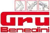 logo Gru Benedini